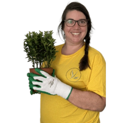 Carla tiimistämme