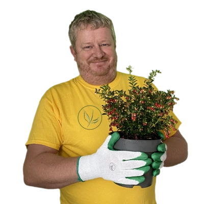 Frank tiimistämme