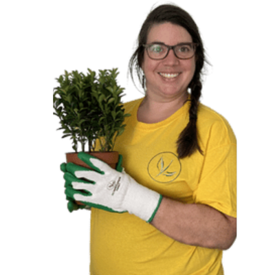 Carla tiimistämme