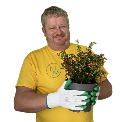 Frank tiimistämme